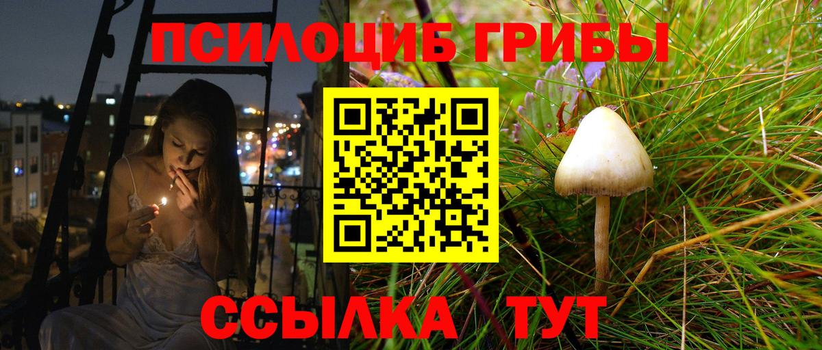 Казань  Псилоцибиновые грибы прущие грибы  Вход с VPN 